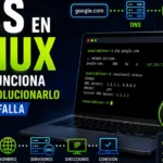 dns-linux